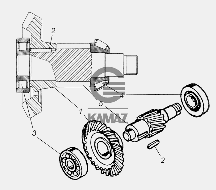 Шестерня ведомая коническая камаз