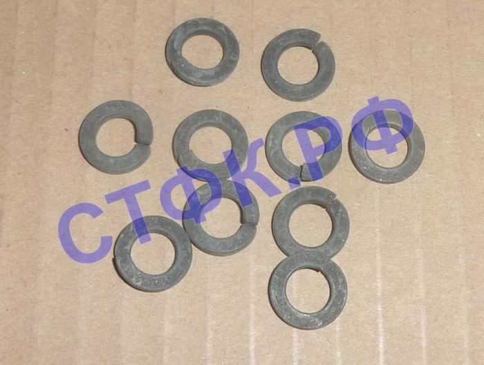Шайба пруж. Ф 8