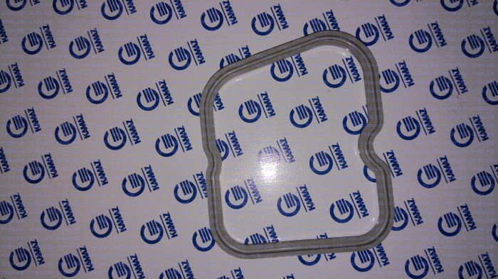 Прокладка С3930906 