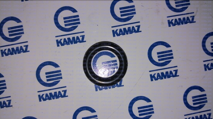 Кольцо уплотнительное A0229979548