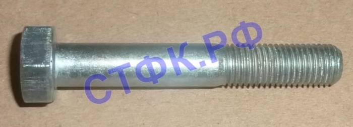Болт М10*1,25х65